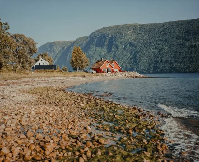 A Journey across Fjords, Forests & Nordic Wonders