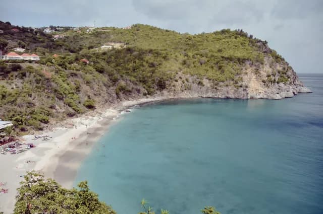 A Journey to Island Rhythms & Tranquil Bahamian Bliss