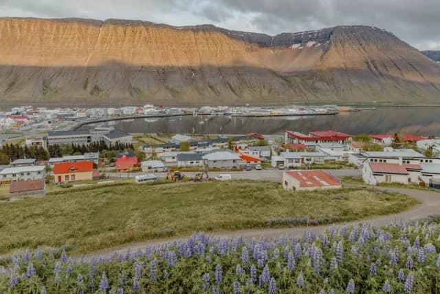 A Journey through Geothermal Marvels & Viking Legacies