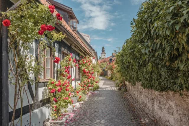 An Extended Journey from Norway’s Majestic Waterways to Baltic Treasures