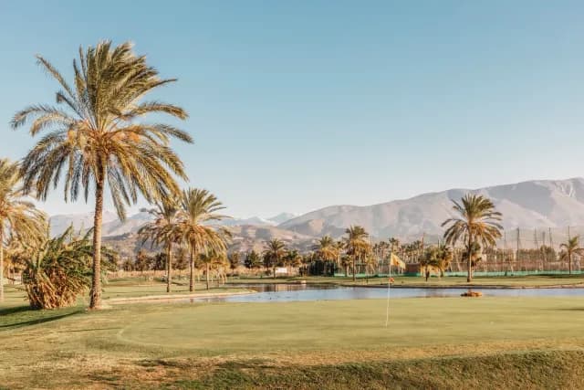 A Journey Through Andalusian Light and Moroccan Soul