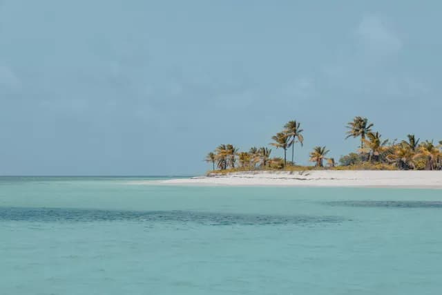 A Journey of Sunny Shores & Caribbean Island Bliss