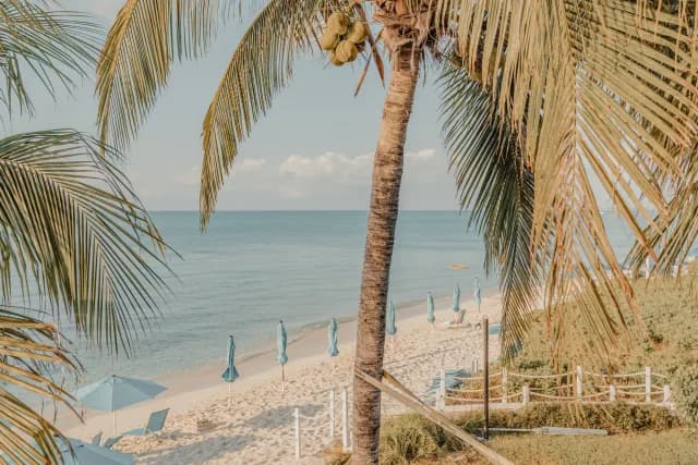 An Extended Journey through Caribbean Treasures & Peaceful Nature