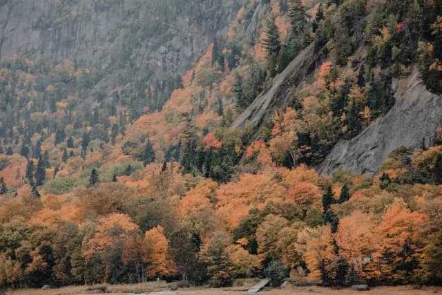 A Grand Journey from Britain’s Charms to New York's Wonders