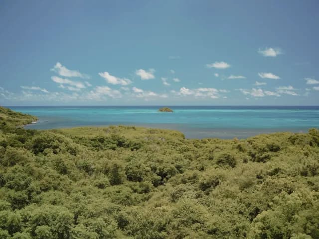A Journey through Caribbean Havens & the Tropical Gems of Seaside Cities