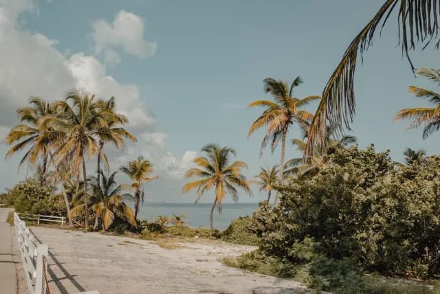 An Extended Journey through Caribbean Beauty & Ocean Stillness