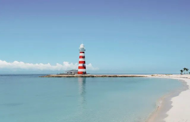 A Journey of Reggae Beats & Hypnotic Caribbean Wonders