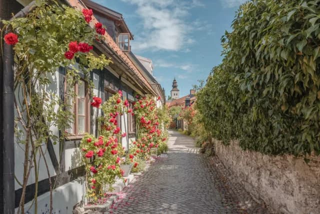 An Extended Journey from Norway’s Majestic Waterways to Baltic Treasures