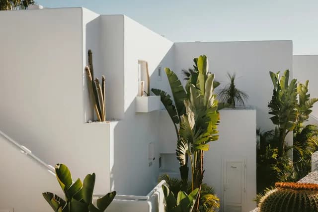 A Journey through Volcanic Isles, Moorish Medinas & Sun-Drenched Shores