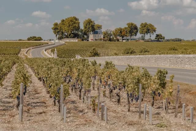 A Journey of Vineyards, Culture & Atlantic Shore