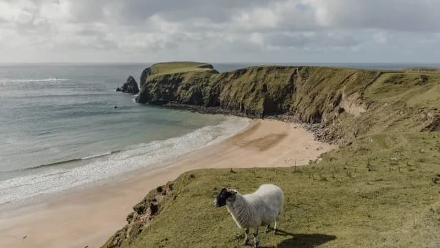 A Journey through Rugged Scottish Islands & Scenic Celtic Coastlines
