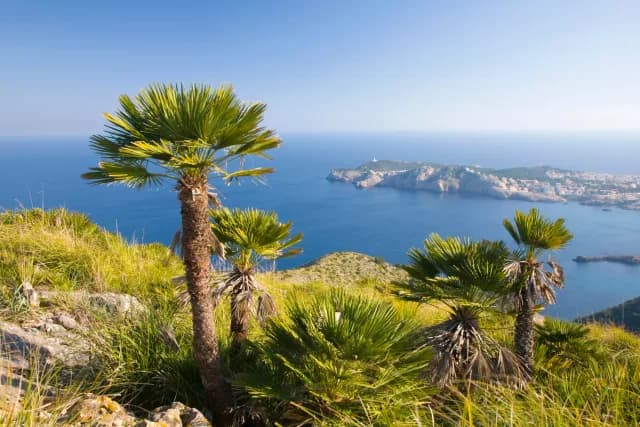 A Journey of Treasured Secrets & Chic Promenades