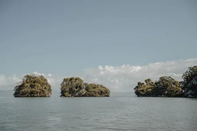 A Journey from From Hidden Shores to Timeless Elegance