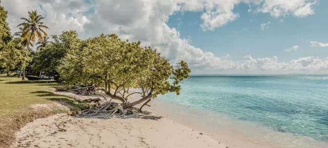 A Journey through Shimmering Island History & Mesmerisingly Cultures
