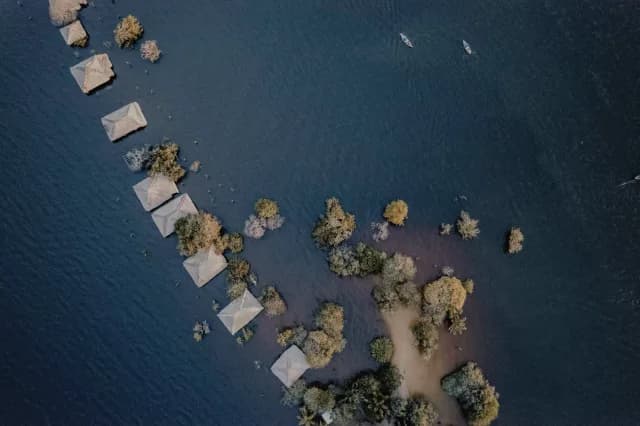 An Extended Journey of Rainforest Wonders & Ocean Serenity