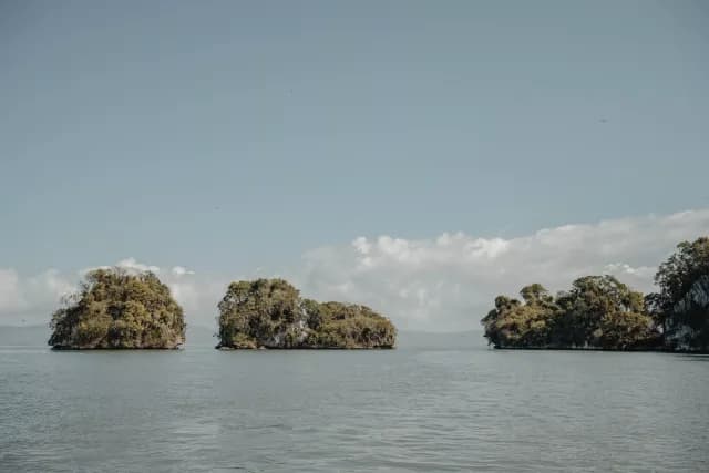 A Journey from From Hidden Shores to Timeless Elegance