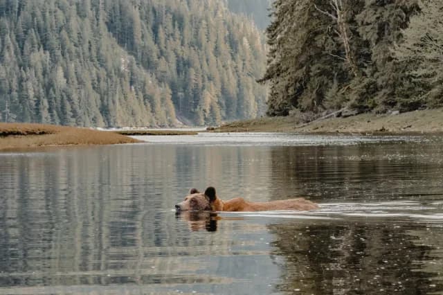 A Journey of Spectacular Nature & Wild Adventure