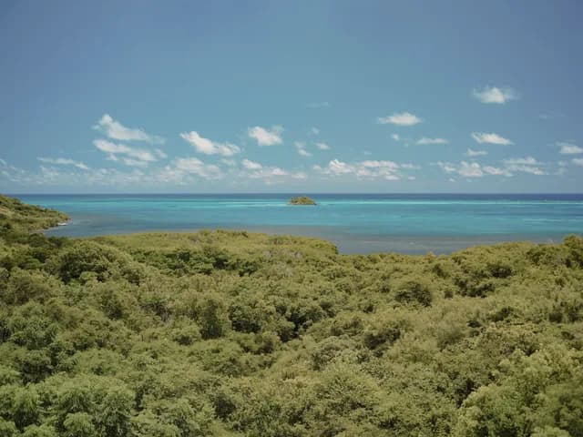 A Journey through Caribbean Havens & the Tropical Gems of Seaside Cities