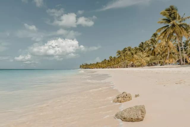 An Extended Journey of Dazzling Skylines & Wildlife Exploration