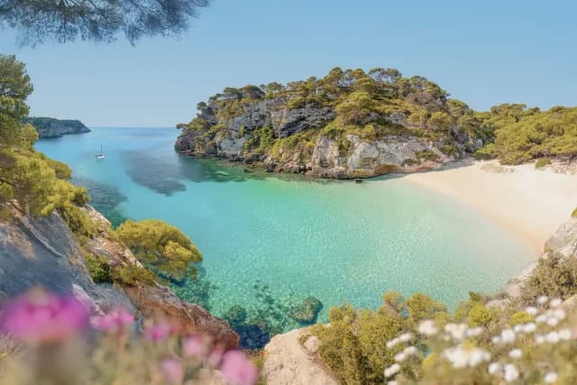 A Journey from Bustling Urban Streets to Tranquil Island Elegance