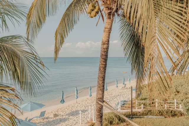 An Extended Journey through Caribbean Treasures & Peaceful Nature