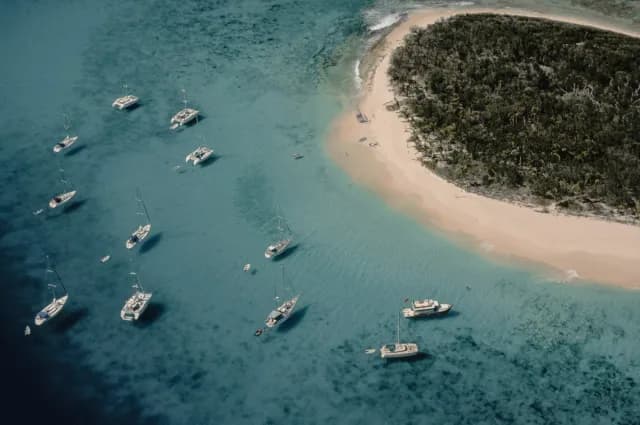 A Journey through Tropical Utopia & Rhythmic Streets