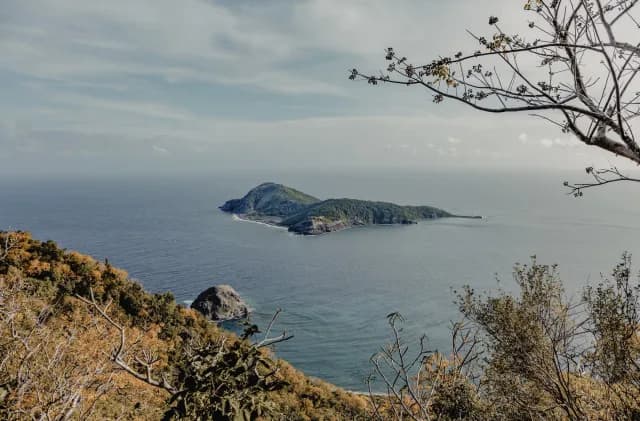 A Journey from Glorious Shorelines to Nature's Allure