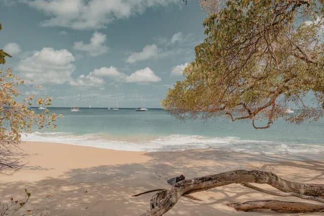 An Extended Journey from Ocean Calm to Vibrant Culture