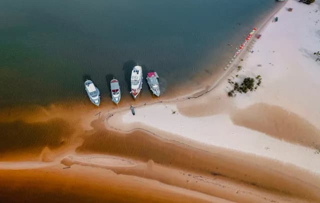A Journey through Amazonian Mesmerising Wonders to the Caribbean Sunlit Landscapes