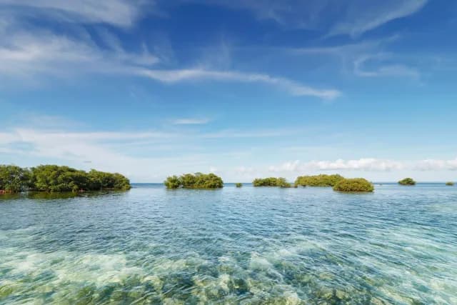 A Journey of Spectacular Festivities & Caribbean Wonders