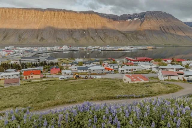 A Journey through Geothermal Marvels & Viking Legacies