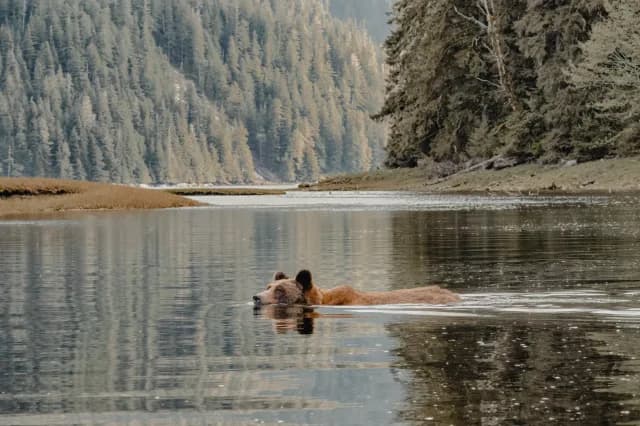 A Journey of Spectacular Nature & Wild Adventure