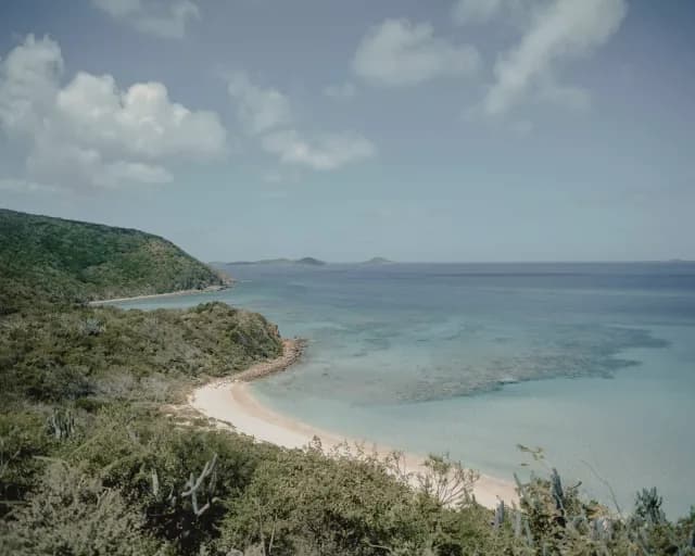 A Journey through Caribbean Delights & Wildlife Wonders