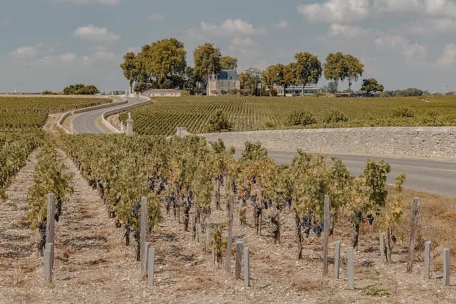 A Journey of Vineyards, Culture & Atlantic Shore