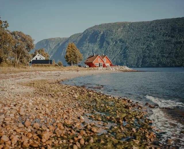 A Journey across Fjords, Forests & Nordic Wonders