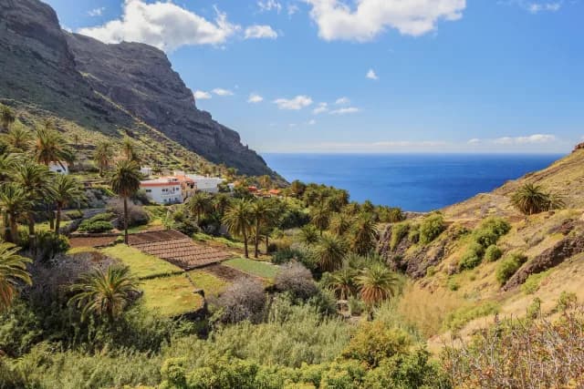 A Journey Through Volcanic Isles and Atlantic Gardens