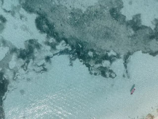 A Journey across Oceanic Gems & the Unresistible Caribbean Charm