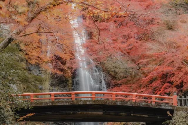 A Journey from Enchanting Skylines to Volcanic Shores