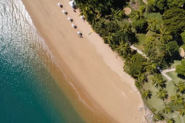 A Journey through Golden Shores, Rainforests & Tango