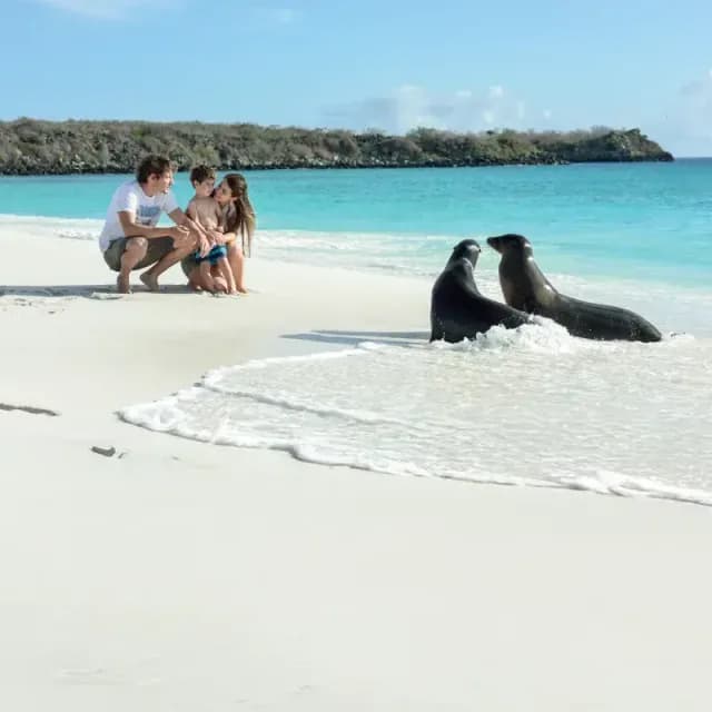 Galapagos family vacation: Why everyone loves the Galapagos