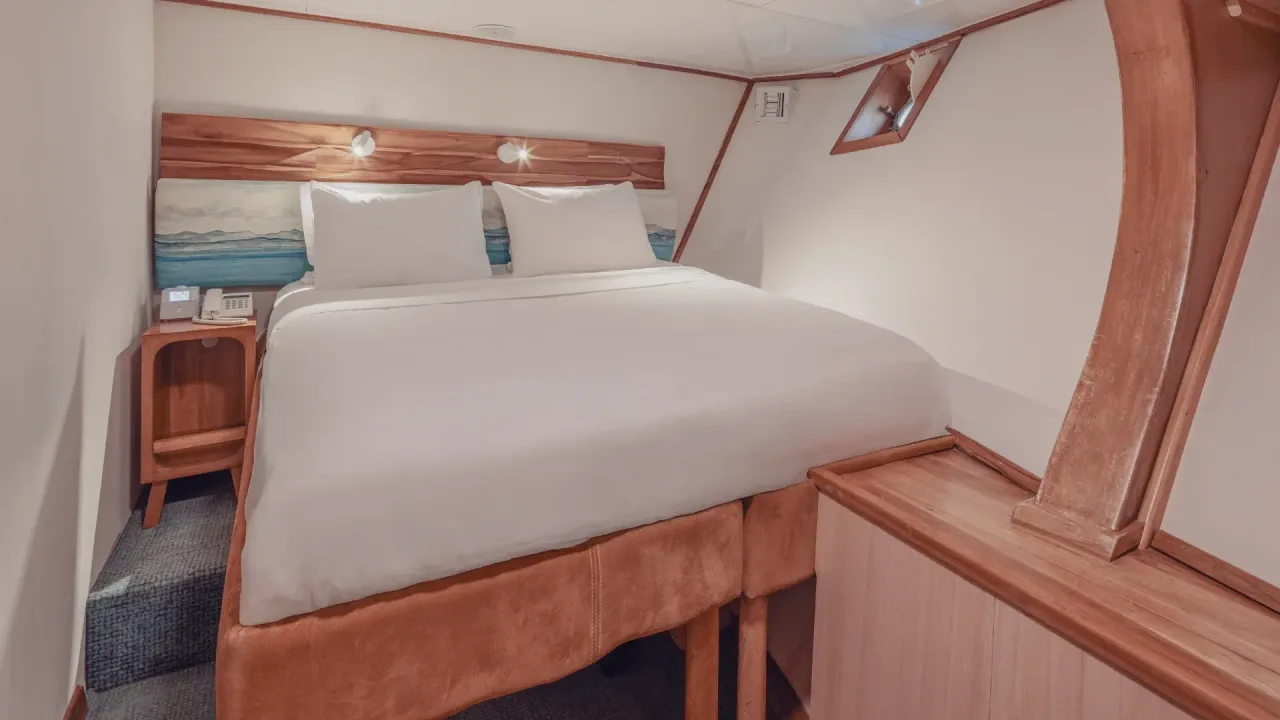 Standard Cabin