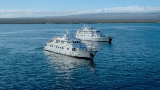 Coral I & Coral II
