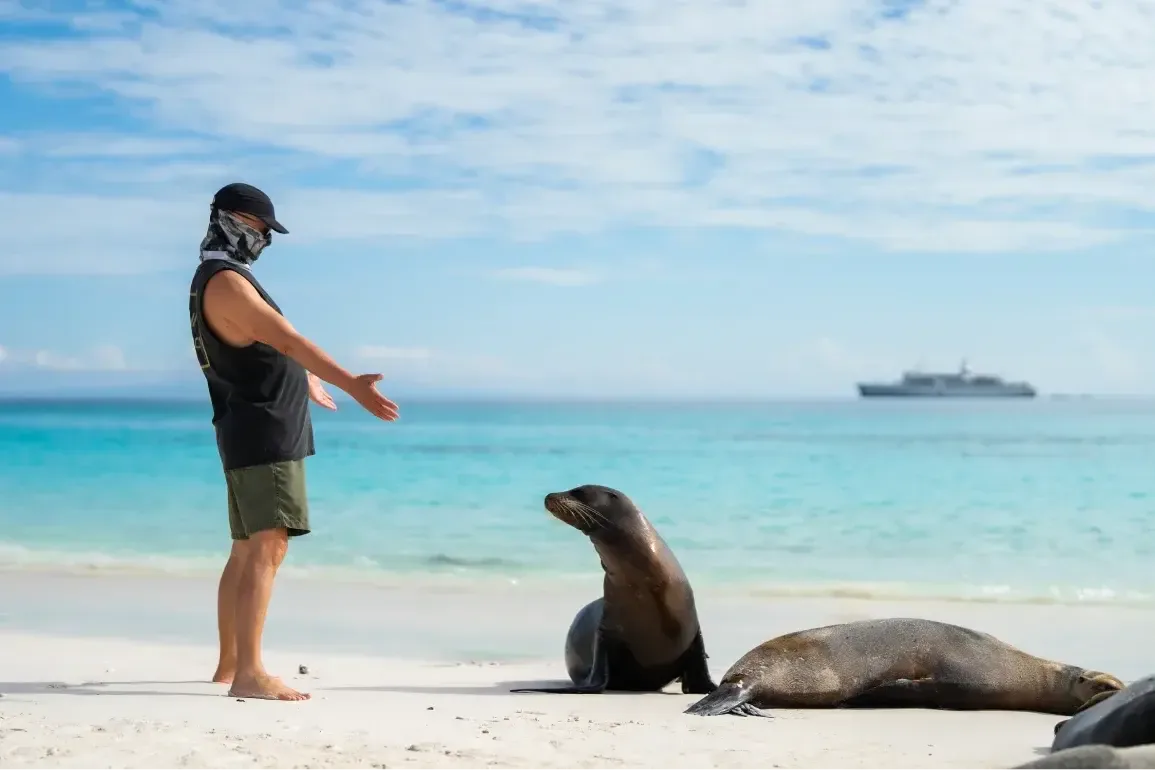 A man with Sea Lions in the Galapagos Islands