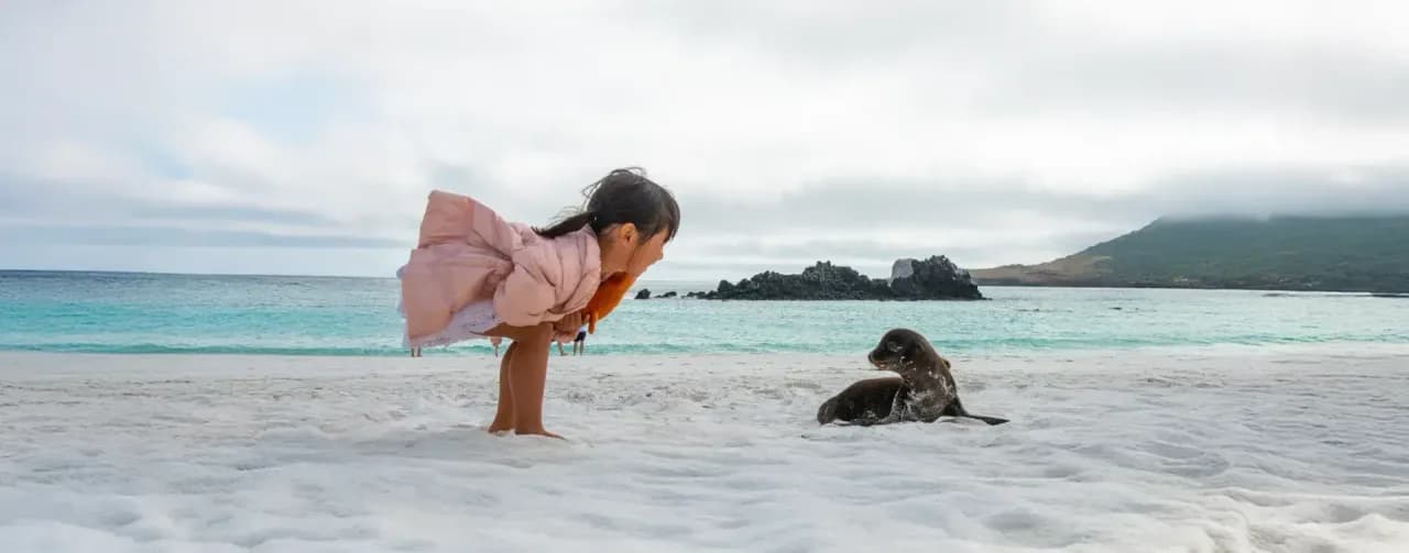 Blog--Sea-Lions-relaxation-banner