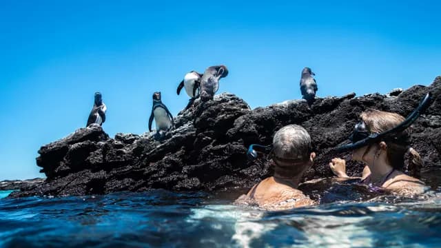 Galápagos Northern Route · Galaxy Alya