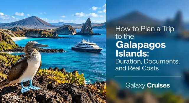 How to plan a trip to the Galapagos Islands: duration, documents, and real costs