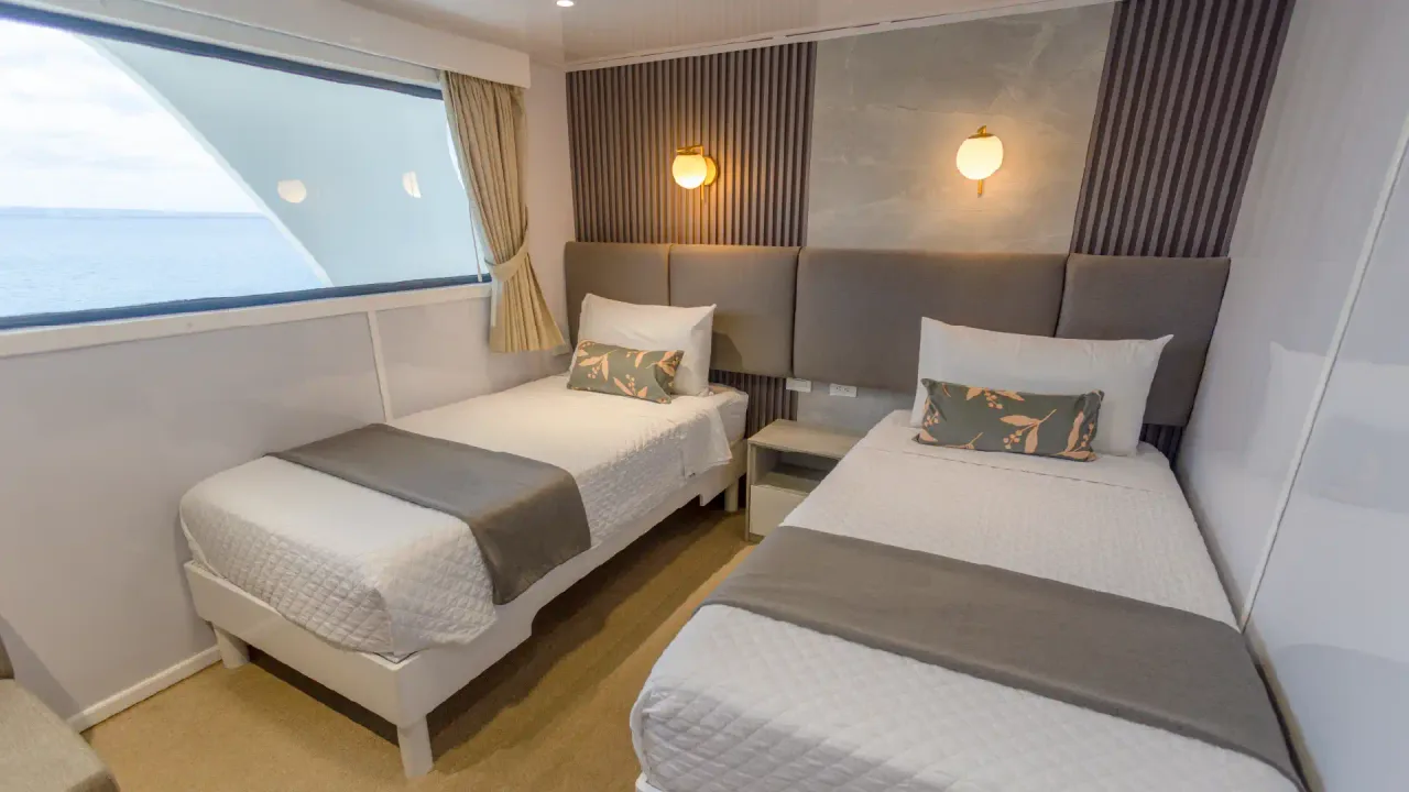 Matrimonial or Twin Cabin