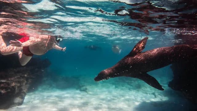 Galápagos Western Route · Galaxy Bonita
