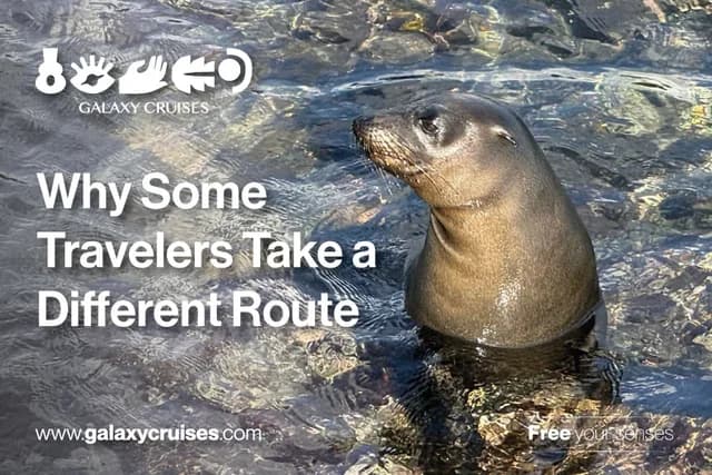 Why Some Travelers Take a Different Route: Exclusive Access