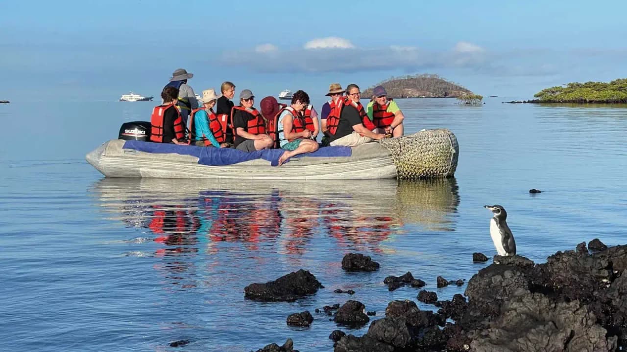 Panga Trips